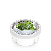Mirisni vosak Kringle Candle Fresh Mint (35 g)