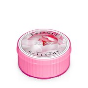 Kringle Candle Mirisna svijeća božur (35 g)