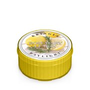 Svijeća s mirisom ružmarina i limuna Kringle Candle (35 g)