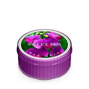 Mirisna svijeća Kringle Candle Sweet Pea (35 g)