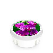 Mirisni vosak Kringle Candle Sweet Pea (35 g)