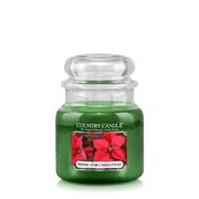 Country Candle Home for Christmas mirisna svijeća srednje veličine 2 fitilja (453 g)
