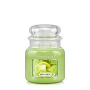 Country Candle Honeydew srednja mirisna svijeća s 2 fitilja (453 g)