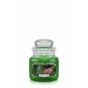 Country Candle Balsam Fir mirisna svijeća mini 1 fitilj (104 g)