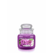 Country Candle Fresh Lilac mirisna svijeća mini 1 fitilj (104 g)