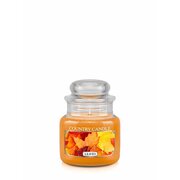 Country Candle Leaves mirisna svijeća mini 1 fitilj (104 g)