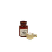 Mirisna svijeća Paddywax Apothecary SEA SALT & SAGE (8 oz / 226 g)