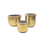 Paddywax FOUNDRY VERBENA & PATCHOULI zlatna mirisna svijeća u metalnom pakiranju (18oz / 510g)
