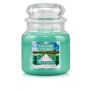 Country Candle Citrus & Seagrass srednja mirisna svijeća s 2 fitilja (453 g)