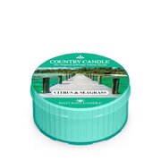 Country Candle Mirisna svijeća Citrus & Seagrass (35 g)