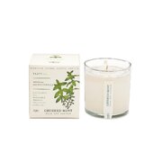 KOBO Plant the Box mirisna svijeća Crushed Mint (10 oz / 283 g)