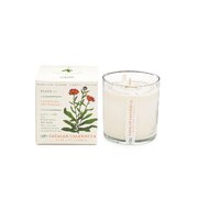 KOBO Plant the Box svijeća s mirisom katalonskog nevena (10 oz / 283 g)