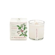 KOBO Plant the Box mirisna svijeća od divlje rajčice (10 oz / 283 g)