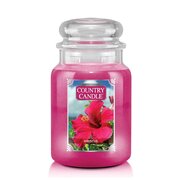 Country Candle Hibiscus velika mirisna svijeća s 2 fitilja (652 g)