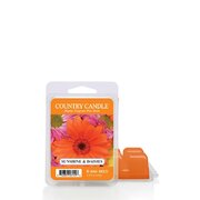 Mirisni vosak Country Candle Sunshine & Daisies (64 g)