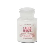 Mirisna svijeća Paddywax FARMHOUSE Cactus Flower (8oz /226g)