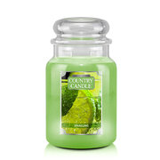 Country Candle Sparkling velika mirisna svijeća s 2 fitilja (652 g)