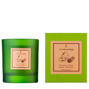 Vila Hermanos Aromathologie Cinnamon Apple mirisna svijeća 200g