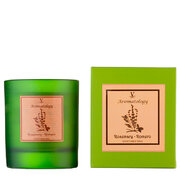 Vila Hermanos Aromathologie Svijeća s mirisom ružmarina 200g