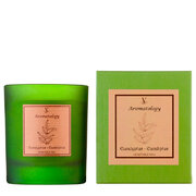 Vila Hermanos Aromathologie Eucalyptus mirisna svijeća 200g