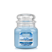 Country Candle Alpine Retreat srednja mirisna svijeća s 2 fitilja (453 g)