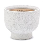 Paddywax mirisna svijeća od čempresa i jele u keramičkoj posudi (14 oz /396 g)
