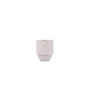 Paddywax Parks Olimpijski nacionalni park Pacific Moss & Mist (11oz / 311g)
