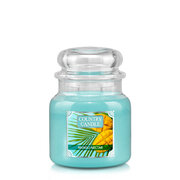 Country Candle Mango Nectar mirisna svijeća srednja 2 fitilja (453 g)
