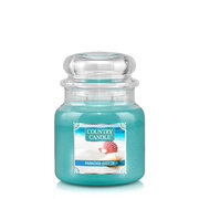 Country Candle Paradise Breeze srednja mirisna svijeća s 2 fitilja (453 g)