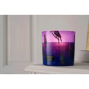 Mirisna svijeća Vila Hermanos Jungletopia Toucan Rainforest 650g