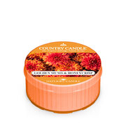 Country Candle Golden Mums & Honey Crisp Tonka mirisna svijeća (42 g)