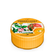 Kringle Candle Essentials mirisna svijeća mirisna svijeća (42 g)