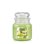 Country Candle Pineapplerita mirisna svijeća srednja 2 fitilja (453 g)