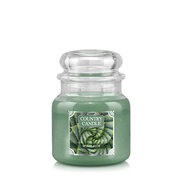 Country Candle Spiral Aloe mirisna svijeća srednje veličine 2 fitilja (453 g)