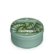 Mirisna svijeća Country Candle Spiral Aloe (42 g)