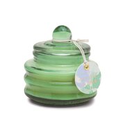 Paddywax BEAM Green: Mirisna svijeća Cactus Flower 3oz / 85g