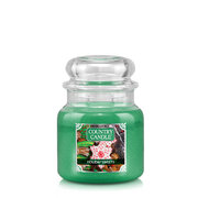 Country Candle Holiday Sweets srednja mirisna svijeća s 2 fitilja (453 g)