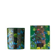 Vila Hermanos Jungletopia BUTTERFLY mirisna svijeća 200g