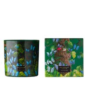 Mirisna svijeća Vila Hermanos Jungletopia Butterfly 650g