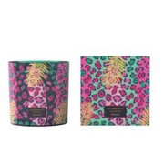 Vila Hermanos Jungletopia WILD MUSK mirisna svijeća 650g