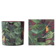 Vila Hermanos Jungletopia SPICY CYPRIOL mirisna svijeća 650g