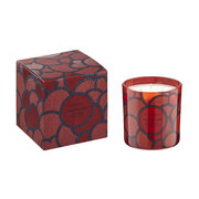 Vila Hermanos '70s Poppy & Marigold mirisna svijeća 500g