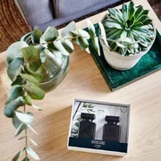 ipuro Essentials Black Bamboo 2x50ml difuzor u poklon kutiji