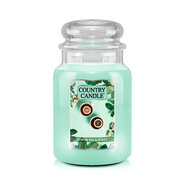 Country Candle Lemon Tea & Roses velika mirisna svijeća s 2 fitilja (737 g)