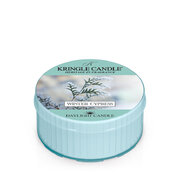 Mirisna svijeća Kringle Candle Winter Cypress (42g)
