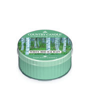 Country Candle White Birch and Rain mirisna svijeća (42g)