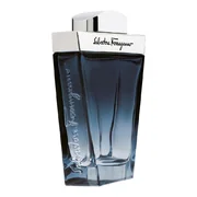 Salvatore Ferragamo Subtil Pour Homme Toaletna voda
