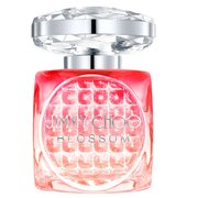 Jimmy Choo Blossom Special Edition 2025 Parfemska voda