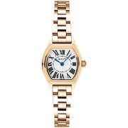 Gant G301003 - Sat
