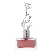 Aurora Scents Deciduous Spring Parfemska voda 100ml